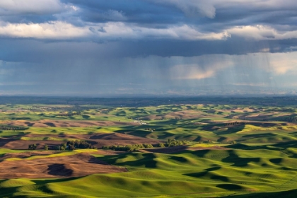 Picture of STORMY CLOUDS OVER ROLLING HILLS FROM STEPTOE BUTTE NEAR COLFAX-WASHINGTON STATE-USA