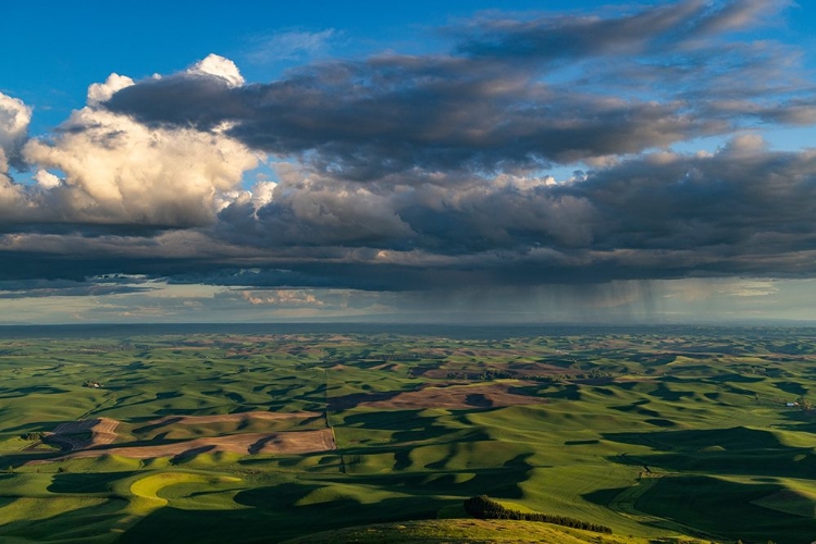 Picture of STORMY CLOUDS OVER ROLLING HILLS FROM STEPTOE BUTTE NEAR COLFAX-WASHINGTON STATE-USA