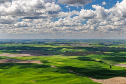 Picture of STORMY CLOUDS OVER ROLLING HILLS FROM STEPTOE BUTTE NEAR COLFAX-WASHINGTON STATE-USA