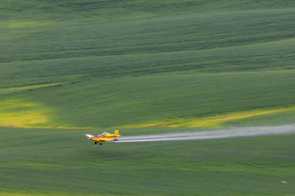 Picture of CROP DUSTER APPLYING CHEMICALS ON WHEAT FIELDS NEAR COLFAX-WASHINGTON STATE-USA