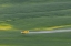 Picture of CROP DUSTER APPLYING CHEMICALS ON WHEAT FIELDS NEAR COLFAX-WASHINGTON STATE-USA