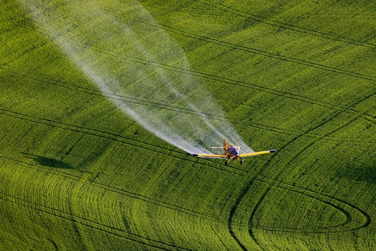 Picture of CROP DUSTER APPLYING CHEMICALS ON WHEAT FIELDS NEAR COLFAX-WASHINGTON STATE-USA