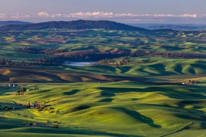 Picture of ROLLING HILLS WITH BARNS FROM STEPTOE BUTTE NEAR COLFAX-WASHINGTON STATE-USA