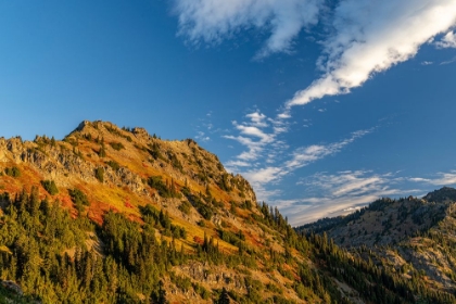 Picture of AUTUMN COLOR ON YAKIMA PEAK IN MOUNT RAINIER NATIONAL PARK-WASHINGTON STATE-USA