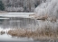 Picture of USA-WASHINGTON STATE-CLE ELUM-KITTITAS COUNTY. WINTER ALONG THE YAKIMA RIVER.