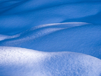 Picture of USA-WASHINGTON STATE-CLE ELUM-KITTITAS COUNTY. SNOW MOUNDS IN WINTER.