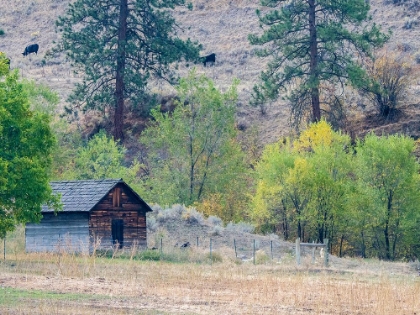 Picture of USA-WASHINGTON STATE-OKANOGAN COUNTY. OLD OUT BUILDING.