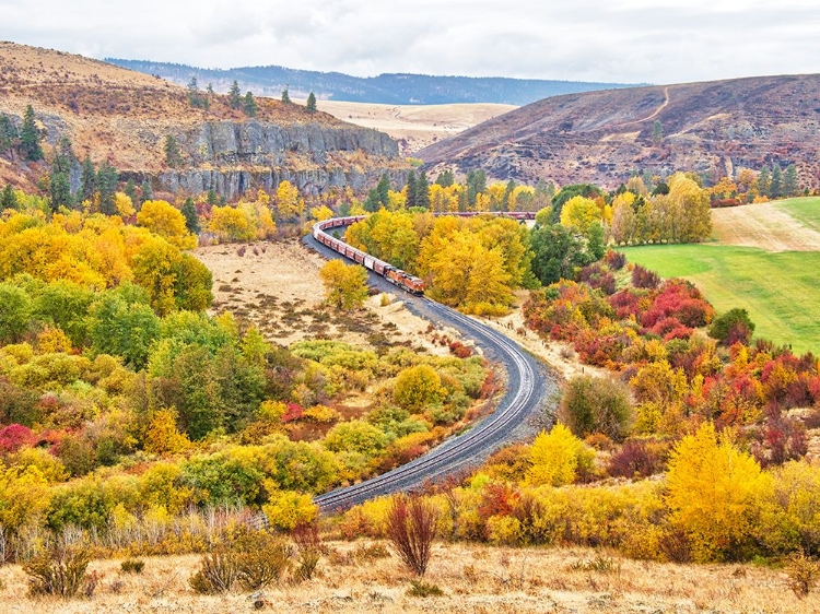 Picture of USA-WASHINGTON STATE-KITTITAS COUNTY. BURLINGTON NORTHERN SANTA FE TRAIN ALONG THE YAKIMA RIVER.