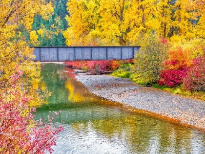 Picture of WASHINGTON STATE-CLE ELUM.RAILROAD TRESTLE CROSSING THE YAKIMA RIVER SURROUNDED BY FALL COLORS.