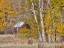 Picture of USA-WASHINGTON STATE-EASTERN WASHINGTON-CLE ELUM-KITTITAS COUNTY.