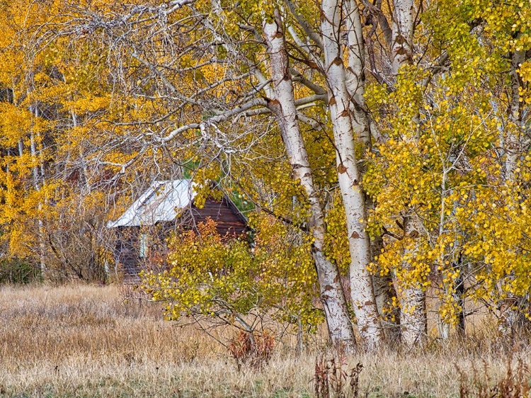 Picture of USA-WASHINGTON STATE-EASTERN WASHINGTON-CLE ELUM-KITTITAS COUNTY.