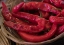 Picture of USA-WASHINGTON STATE-CARNATION. RED PEPPERS IN BASKET