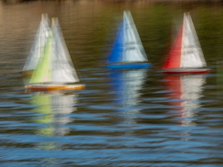 Picture of USA-WASHINGTON STATE-RENTON. REMOTE CONTROL SAILBOATS AT GENE COULON PARK ON LAKE WASHINGTON.