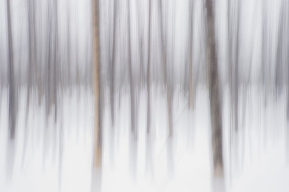 Picture of ABSTRACT WINTER-YELLOWSTONE