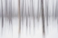 Picture of ABSTRACT WINTER-YELLOWSTONE