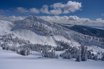 Picture of USA-WYOMING. LANDSCAPE OF PEAKED MOUNTAIN AND GRAND TARGHEE RESORT WITH NEW SNOW