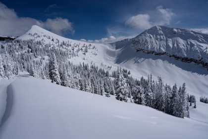 Picture of USA-WYOMING. PEAKED MOUNTAIN AND MARYS NIPPLE-GRAND TARGHEE RESORT WITH NEW SNOW.