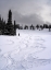 Picture of USA-WYOMING. SKI TRACKS IN POWDER NEAR JACKSON HOLE.
