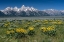 Picture of USA-WYOMING. GRAND TETON RANGE-GRAND TETON NATIONAL PARK.