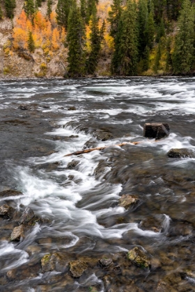 Picture of USA-WYOMING. LEHARDYS RAPIDS-YELLOWSTONE NATIONAL PARK.