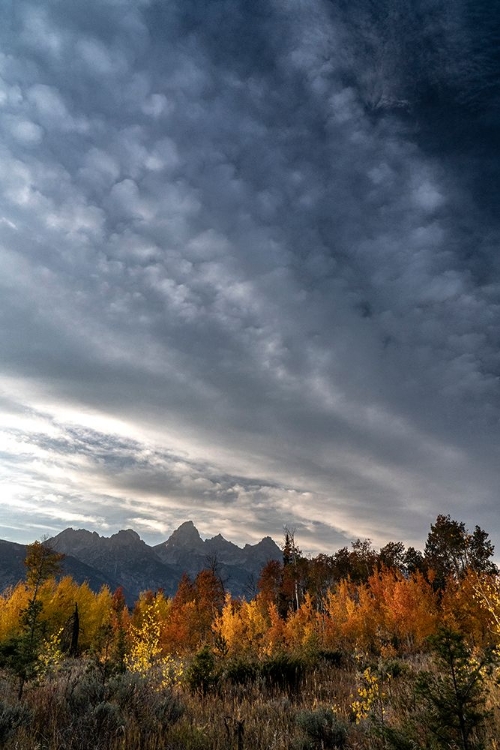 Picture of USA-WYOMING. AUTUMN EVENING NEAR BLACK TAIL BUTTE-GRAND TETON NATIONAL PARK.