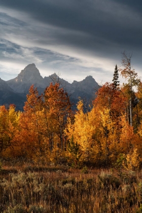 Picture of USA-WYOMING. AUTUMN EVENING NEAR BLACK TAIL BUTTE-GRAND TETON NATIONAL PARK.