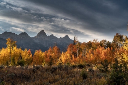 Picture of USA-WYOMING. AUTUMN EVENING NEAR BLACK TAIL BUTTE-GRAND TETON NATIONAL PARK.
