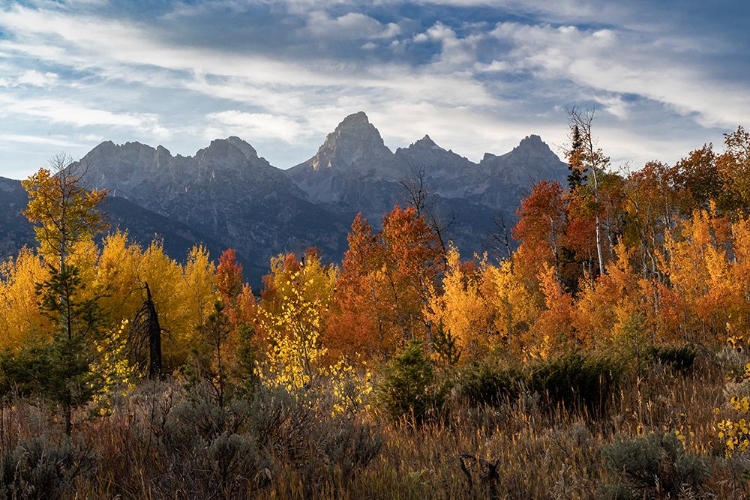 Picture of USA-WYOMING. AUTUMN EVENING NEAR BLACK TAIL BUTTE-GRAND TETON NATIONAL PARK.