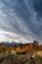 Picture of USA-WYOMING. AUTUMN EVENING NEAR BLACK TAIL BUTTE-GRAND TETON NATIONAL PARK.