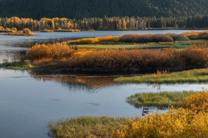 Picture of USA-WYOMING. AUTUMN EVENING AT THE OXBOW BEND-GRAND TETON NATIONAL PARK.