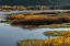 Picture of USA-WYOMING. AUTUMN EVENING AT THE OXBOW BEND-GRAND TETON NATIONAL PARK.