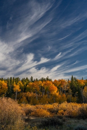 Picture of USA-WYOMING. AUTUMN AFTERNOON CLOUDS-GRAND TETON NATIONAL PARK.