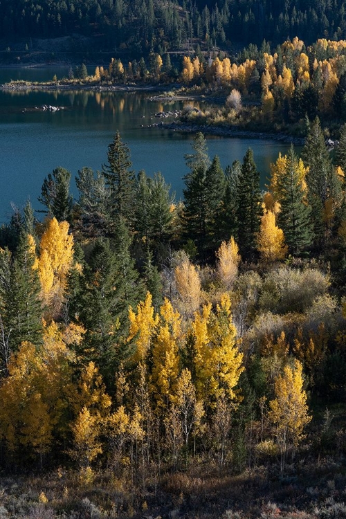 Picture of USA-WYOMING. SLIDE LAKE-BRIDGER TETON NATIONAL FOREST.