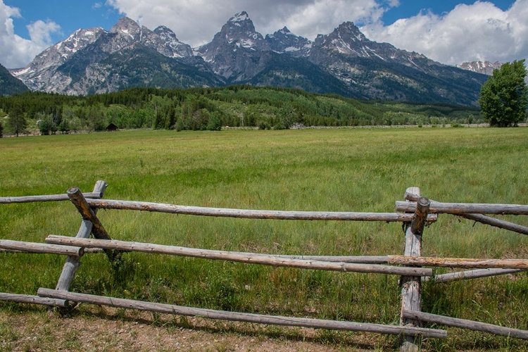 Picture of GRAND TETONS-GRAND TETON NATIONAL PARK-WYOMING-USA