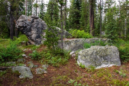 Picture of GLACIAL ERRATIC BOULDERS-GRAND TETONS NATIONAL PARK-WYOMING-USA