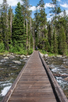 Picture of FOOTBRIDGE OVER STRING LAKE-GRAND TETONS NATIONAL PARK-WYOMING-USA. (EDITORIAL USE ONLY)