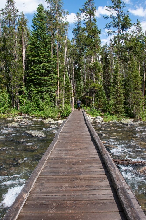 Picture of FOOTBRIDGE OVER STRING LAKE-GRAND TETONS NATIONAL PARK-WYOMING-USA. (EDITORIAL USE ONLY)