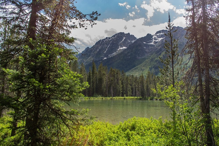 Picture of STRING LAKE-GRAND TETONS NATIONAL PARK-WYOMING-USA