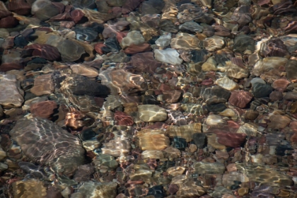 Picture of ROCKS UNDER WATER-LAKESHORE TRAIL-COLTER BAY-GRAND TETONS NATIONAL PARK-WYOMING-USA