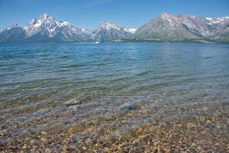 Picture of LAKESHORE TRAIL-COLTER BAY-GRAND TETONS NATIONAL PARK-WYOMING-USA