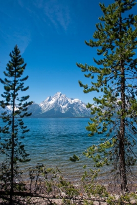 Picture of LAKESHORE TRAIL-COLTER BAY-GRAND TETONS NATIONAL PARK-WYOMING-USA