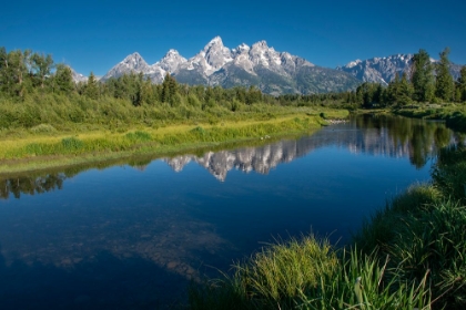 Picture of SCHWABACHER LANDING-GRAND TETON NATIONAL PARK-WYOMING-USA