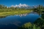 Picture of SCHWABACHER LANDING-GRAND TETON NATIONAL PARK-WYOMING-USA