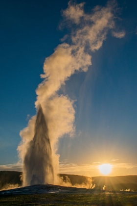 Picture of OLD FAITHFUL GEYSER ERUPTION-YELLOWSTONE NATIONAL PARK-WYOMING-USA.