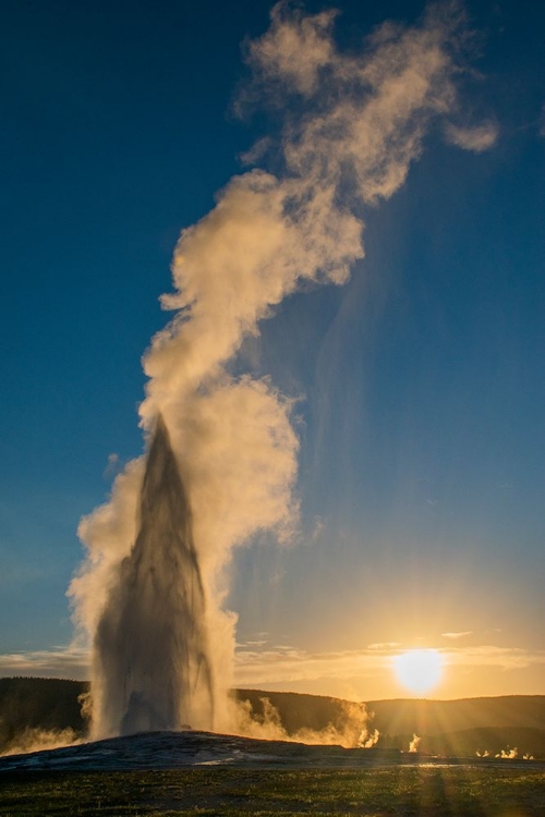 Picture of OLD FAITHFUL GEYSER ERUPTION-YELLOWSTONE NATIONAL PARK-WYOMING-USA.
