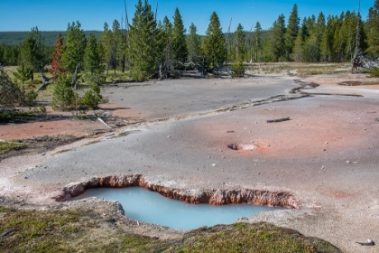 Picture of ARTISTS PAINTPOTS-YELLOWSTONE NATIONAL PARK-WYOMING-USA