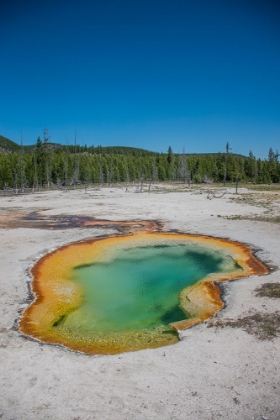 Picture of AVOCA SPRING-YELLOWSTONE NATIONAL PARK-WYOMING-USA