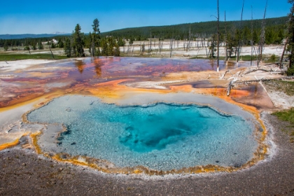 Picture of FIREHOLE SPRING-FIREHOLE LAKE ROAD-YELLOWSTONE NATIONAL PARK-WYOMING-USA