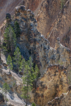 Picture of GRAND CANYON OF THE YELLOWSTONE-YELLOWSTONE NATIONAL PARK-WYOMING-USA