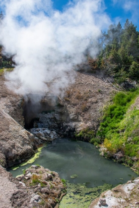 Picture of MUD VOLCANO-YELLOWSTONE NATIONAL PARK-WYOMING-USA